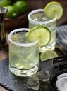 Margarita cocktail with ice, lime and salt riim Royalty Free Stock Photo