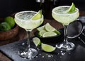 Margarita cocktail with ice, lime and salt rim Royalty Free Stock Photo
