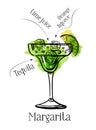 Margarita cocktail recipe description with ingredients. Vector sketch outline hand drawn illustration