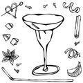 Margarita or Coupette Cocktail Glass. Hand Drawn Vector illustration. Royalty Free Stock Photo