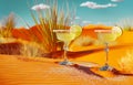 Margarita glasses with lime in Sonoran Desert, Arizona. Refreshing moment in warm landscape, travel concept Royalty Free Stock Photo