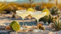 Margarita glasses with lime in Sonoran Desert, Arizona. Refreshing moment in warm landscape, travel concept Royalty Free Stock Photo
