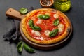 Margarita pizza with tomatoes, mozzarella cheese and basil Royalty Free Stock Photo