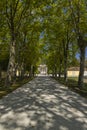 Margaux castle (Chateau Margaux), Medoc, Bordeaux, Aquitaine, France