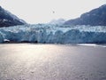 Margerie Glacier - Galcier Bay Royalty Free Stock Photo