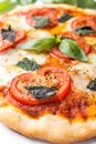 Margerita Cheese Pizza Royalty Free Stock Photo