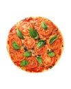 Margharita Pizza Royalty Free Stock Photo