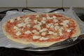 Marguerita pizza