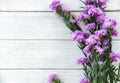 Marguerite purple and statice flowers frame decorate on white wooden background Royalty Free Stock Photo