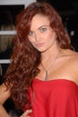 Maria Kanellis,Four Seasons Royalty Free Stock Photo