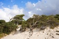 Maria Pia Sand Dunes, Alghero Royalty Free Stock Photo