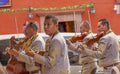 Mariachi Band Violin Players Jardin San Miguel de Allende Mexico