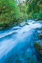 Marian Creek in Fiordland in New Zealand