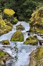 Marian Falls on the Lake Marian track, New Zealand