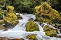 Marian Falls on the Lake Marian track, New Zealand