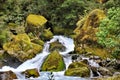 Marian Falls on the Lake Marian track, New Zealand