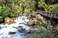 Marian Falls on the Lake Marian track, New Zealand