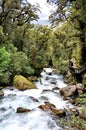 Marian Falls on the Lake Marian track, New Zealand