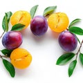 Marian plum delight sweet and sour fruit on a white