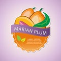 Marian plum fruit label, illustration