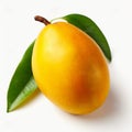 Marian_plum_Gandaria_Marian_mango_Plum_mango_Maprang_1690599268544_5