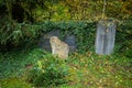 Grave of Theodor Lessing, a German philosopher