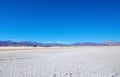 Maricunga Salt Flat