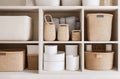 Explore a Stylish Array of Storage Boxes, Containers, and Baskets for a Tidier Closet.