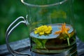 Marigold with Calendula flowers and mint