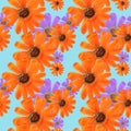 Marigold, calendula. Illustration, texture of flowers. Seamless