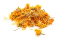 Marigold dry tea flowers Royalty Free Stock Photo