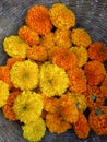 Marigold  flawar tokri image Royalty Free Stock Photo