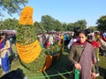 Marigold flower art at Rose Festival, Chandigarh Royalty Free Stock Photo