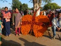 Marigold flower art at Rose Festival, Chandigarh Royalty Free Stock Photo
