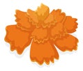 Marigold flower with yellow-orange petals in cartoon style, Vector illustration Royalty Free Stock Photo