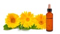 Marigold flowers with bottle with essence
