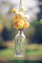 The marigold flowers in a glass bottle hanging Royalty Free Stock Photo