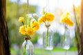 The marigold flowers in a glass bottle hanging Royalty Free Stock Photo