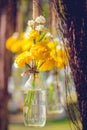 The marigold flowers in a glass bottle hanging Royalty Free Stock Photo