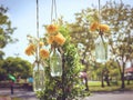 The marigold flowers in a glass bottle hanging Royalty Free Stock Photo