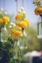 The marigold flowers in a glass bottle hanging Royalty Free Stock Photo