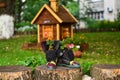 Marigold flowers growing in boots flowerpots