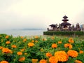 Marigold flowers and Hindu temple at Bedugul Bali Royalty Free Stock Photo