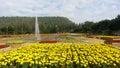 Marigold Flowers at Jim Thompson Farm