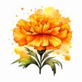 Marigold Illustration Vector Clipart With Alcohol Ink