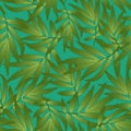 Marigold Leaves - Tagetes on Green Background. Vector Illustration Royalty Free Stock Photo