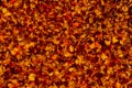 Marigold petals. Royalty Free Stock Photo