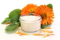 Marigold salve Royalty Free Stock Photo