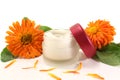 Marigold salve Royalty Free Stock Photo