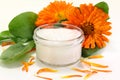 Marigold salve Royalty Free Stock Photo